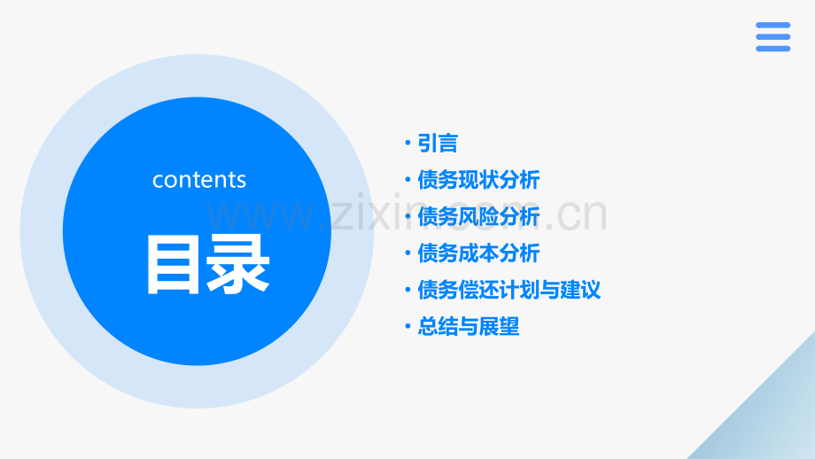 债务分析报告.pptx_第2页