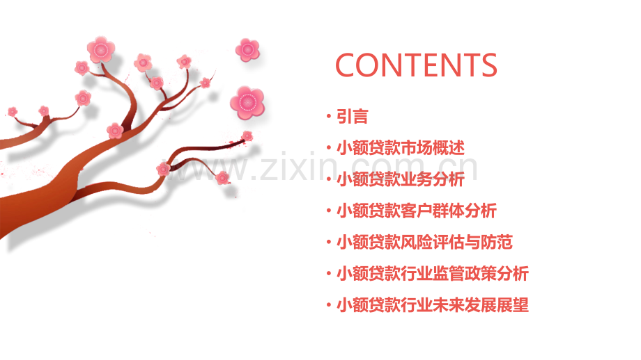 小额贷款分析报告.pptx_第2页