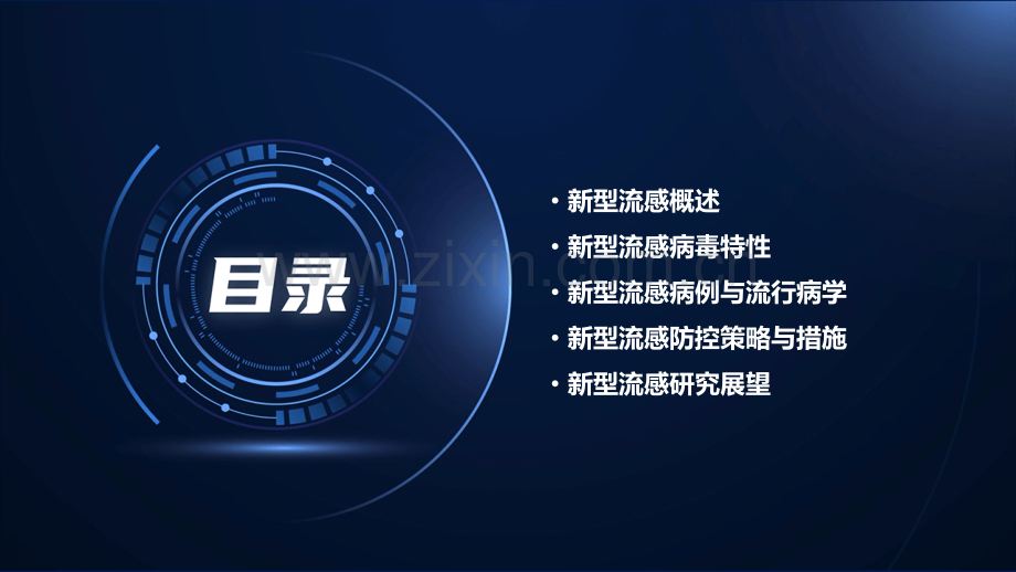 新型流感报告.pptx_第2页