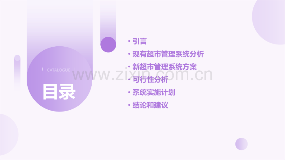 超市管理系统可行性分析报告.pptx_第2页