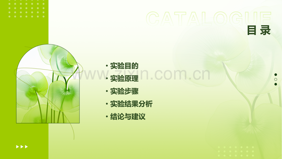 土力学固结实验报告.pptx_第2页