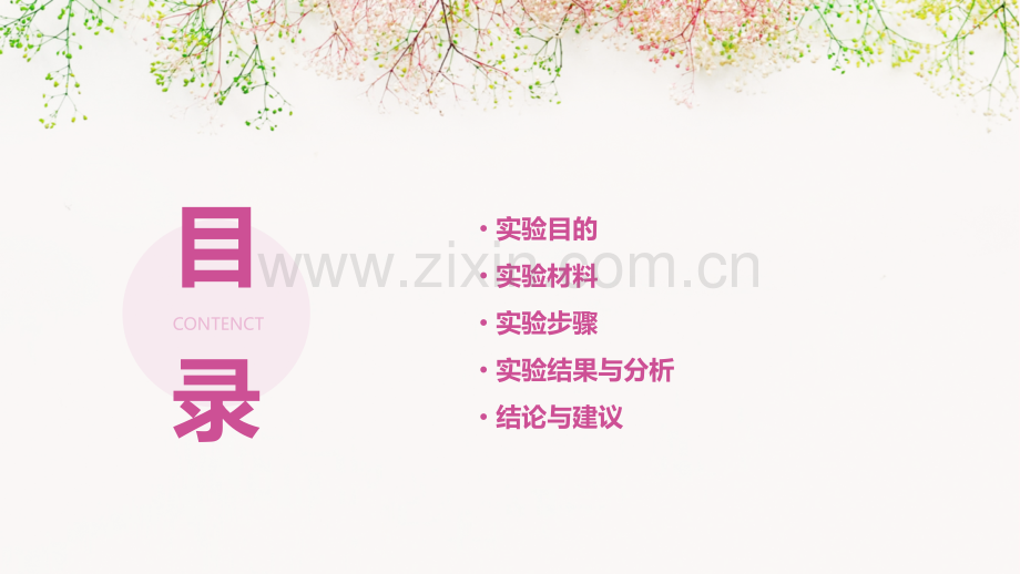制作米酒实验报告.pptx_第2页
