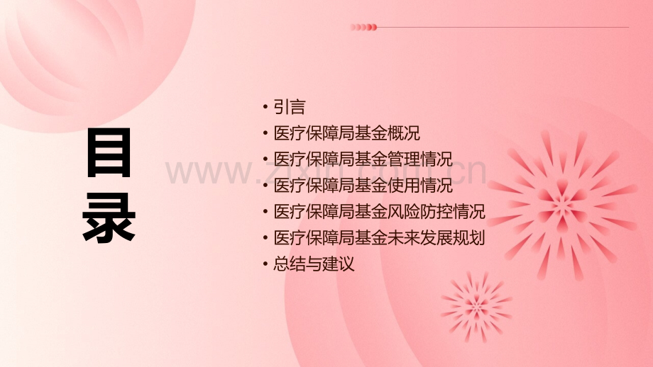 医疗保障局基金专项报告.pptx_第2页
