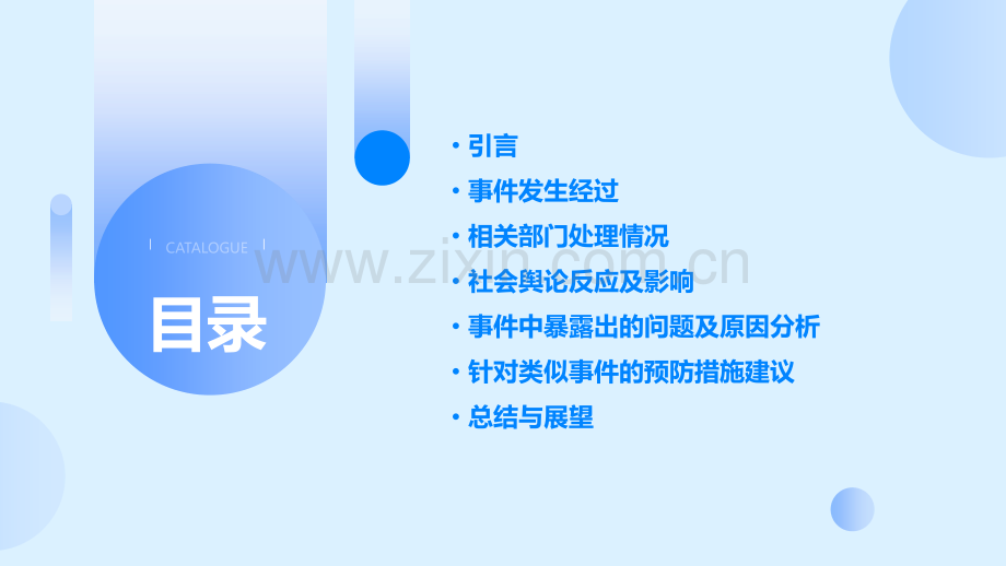 丰县八孩案例分析报告.pptx_第2页