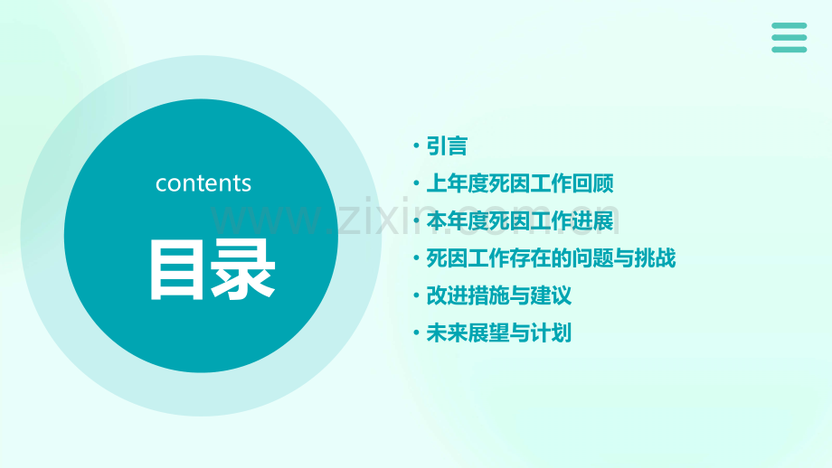 死因工作总结.pptx_第2页