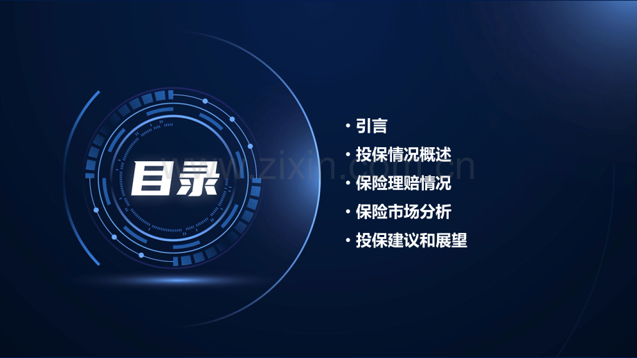 去年投保报告.pptx_第2页