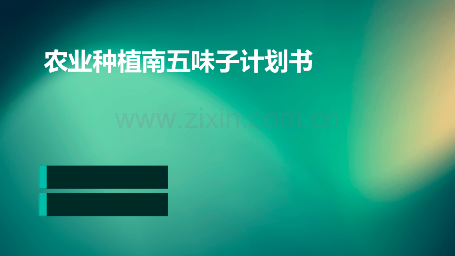 农业种植南五味子计划书.pptx_第1页