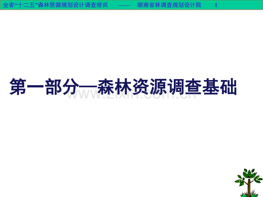 森林资源调查基础.ppt_第1页