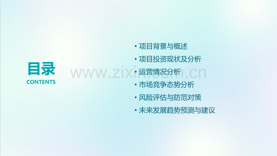 山东项目投资运营分析报告.pptx_第2页
