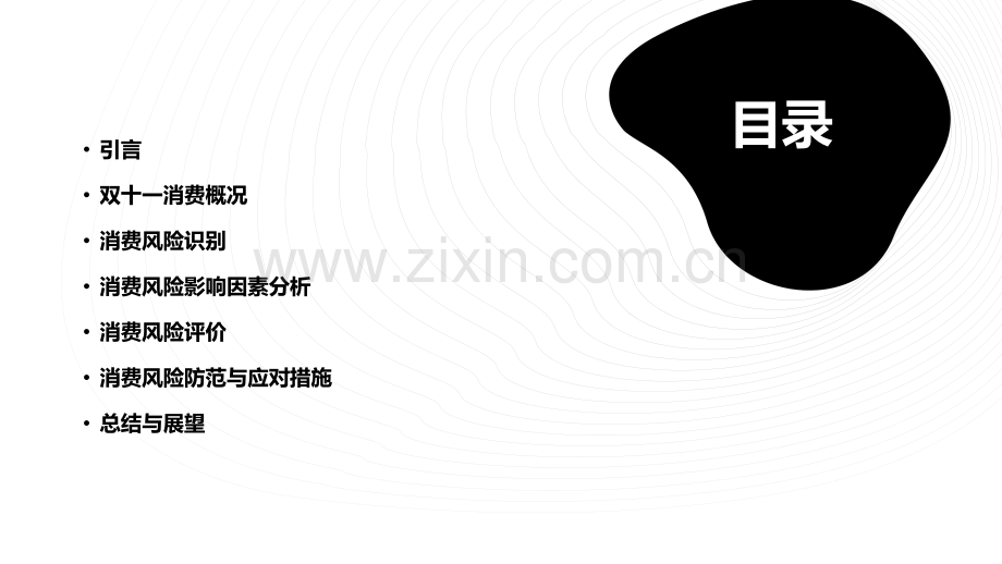 双十一消费风险分析报告.pptx_第2页