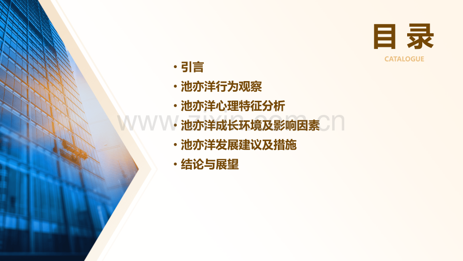 池亦洋观察分析报告轶.pptx_第2页