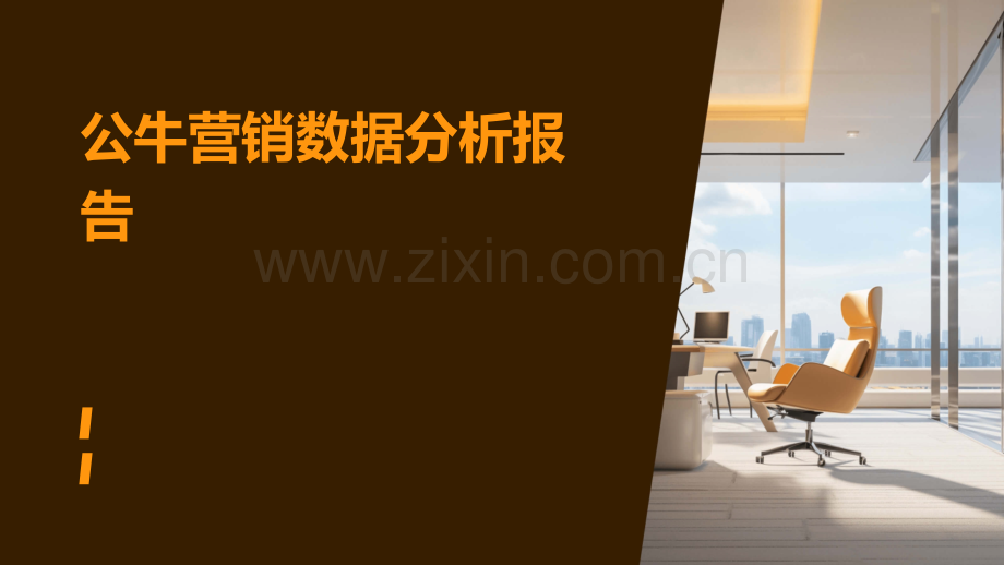 公牛营销数据分析报告.pptx_第1页