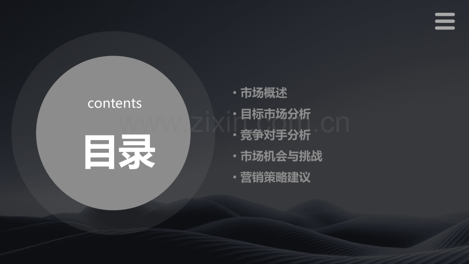 分析市场报告.pptx_第2页
