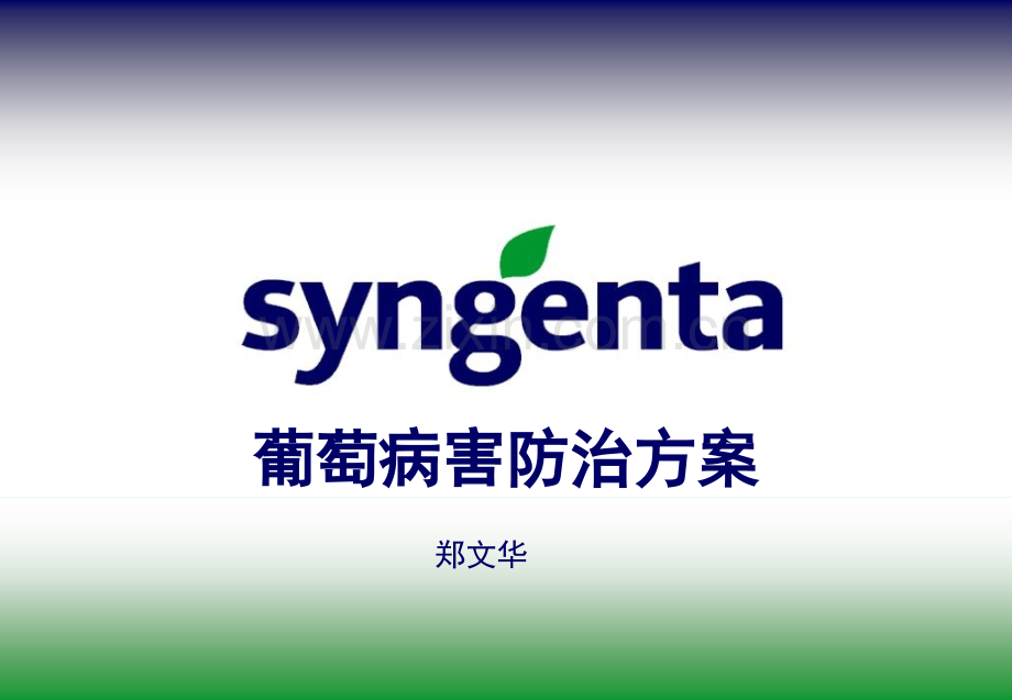 葡萄病虫害防治方案(郑文华).ppt_第1页