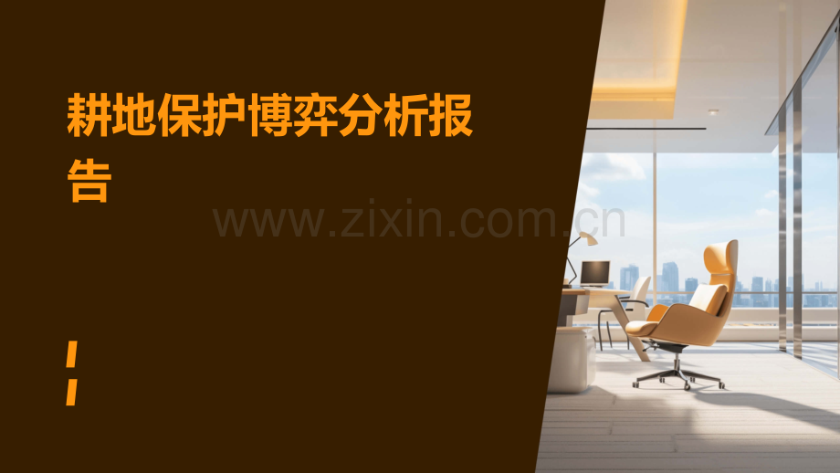 耕地保护博弈分析报告.pptx_第1页