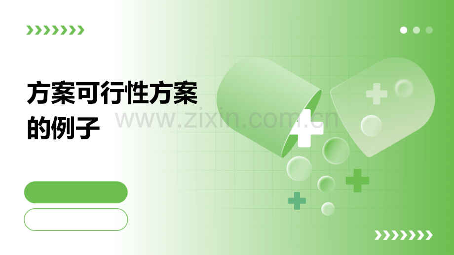方案可行性方案的例子.pptx_第1页
