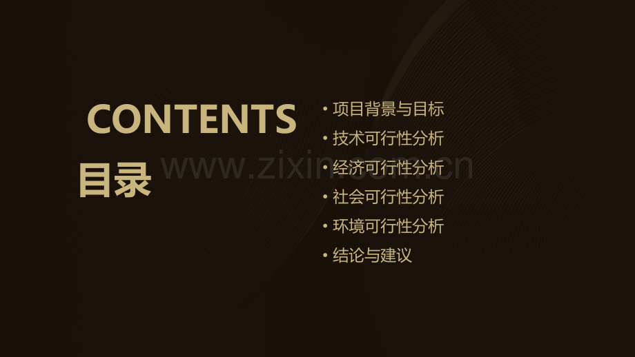 叶蓝可行性分析报告.pptx_第2页