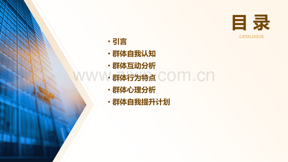 群体自我分析报告.pptx_第2页