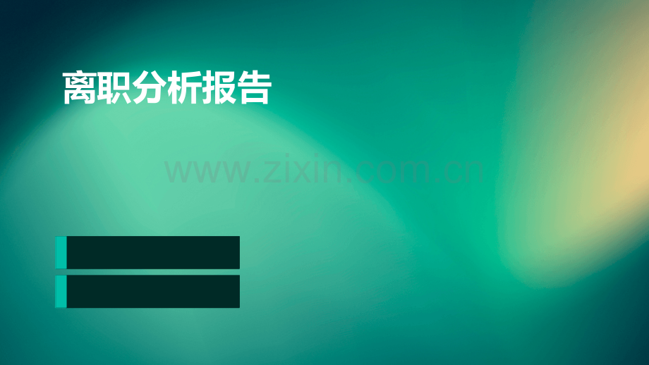 离职分析报告.pptx_第1页