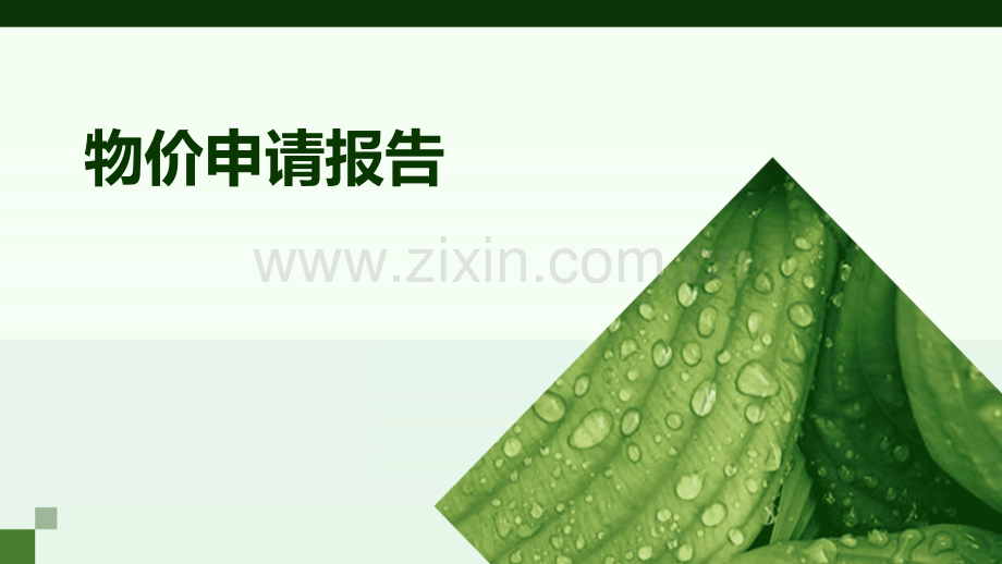 物价申请报告.pptx_第1页