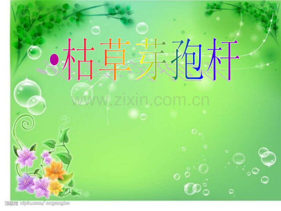 枯草芽孢杆菌-(2).ppt_第1页