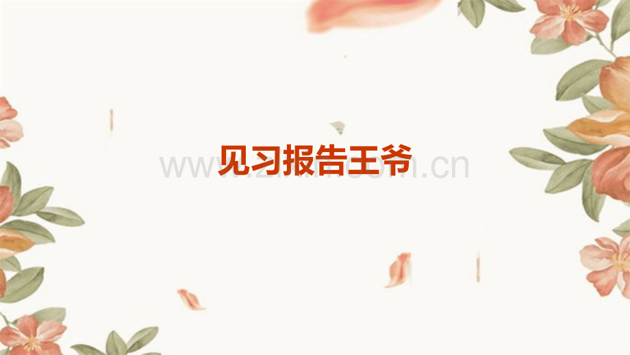 见习报告王爷.pptx_第1页