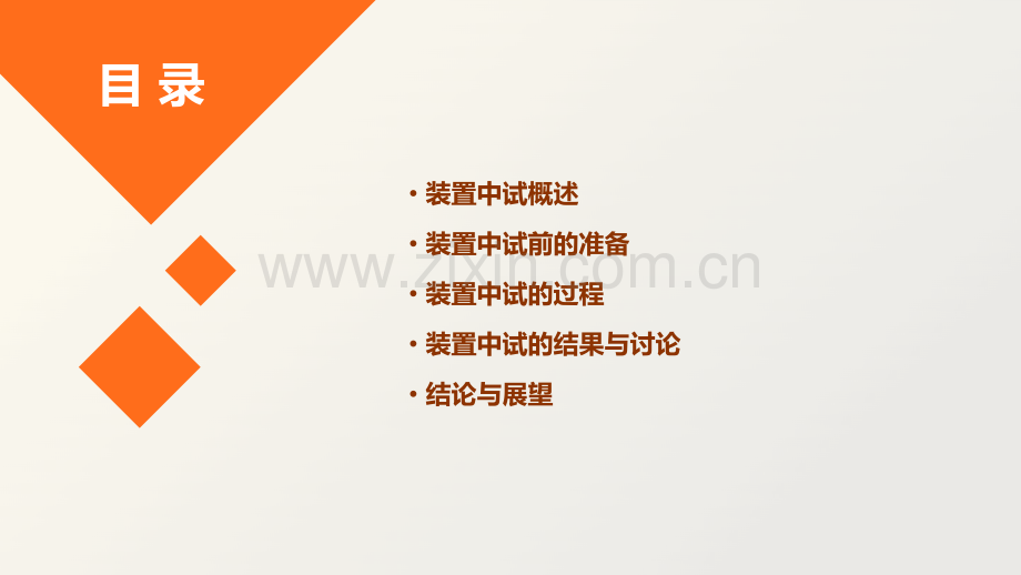 装置中试报告.pptx_第2页