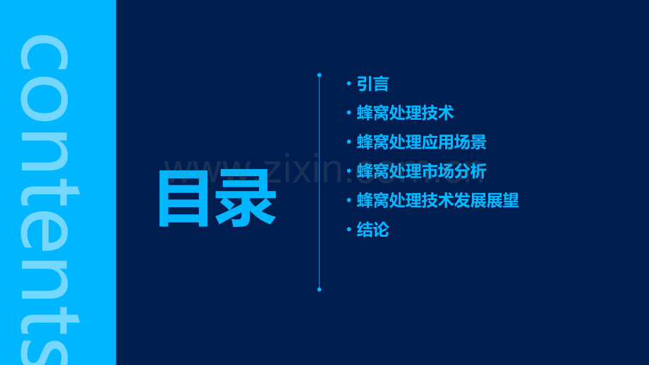 蜂窝处理报告.pptx_第2页