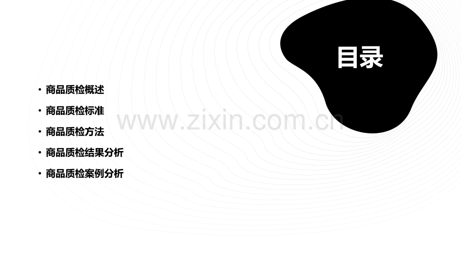 商品质检报告.pptx_第2页