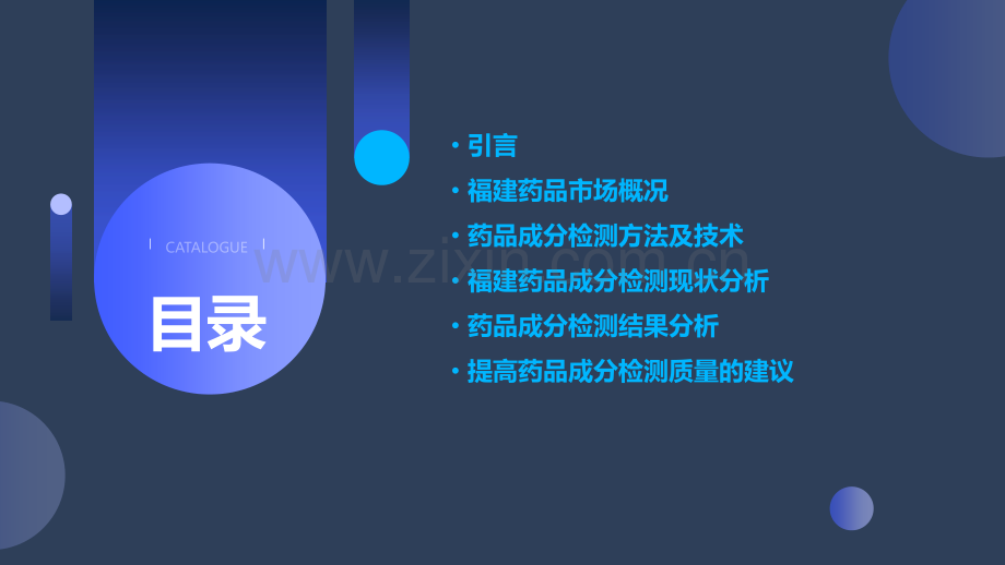 福建药品成分检测分析报告.pptx_第2页