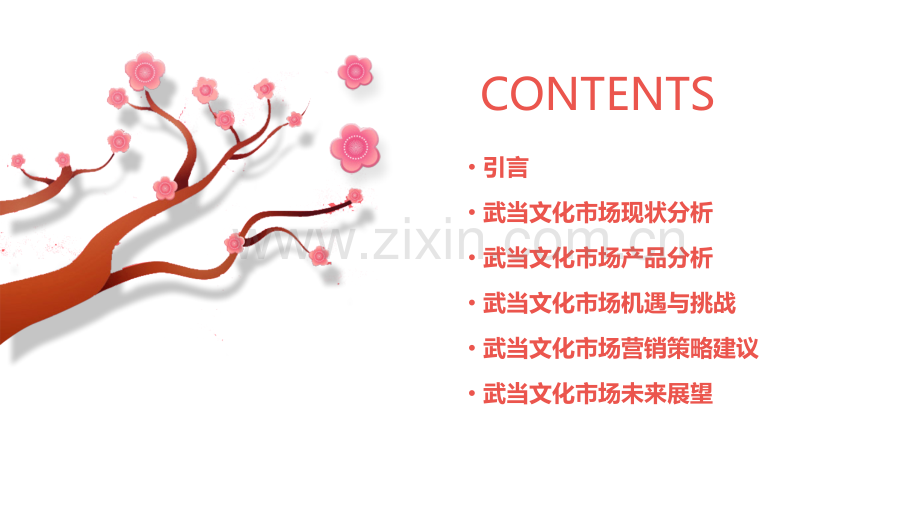 武当文化市场分析报告.pptx_第2页