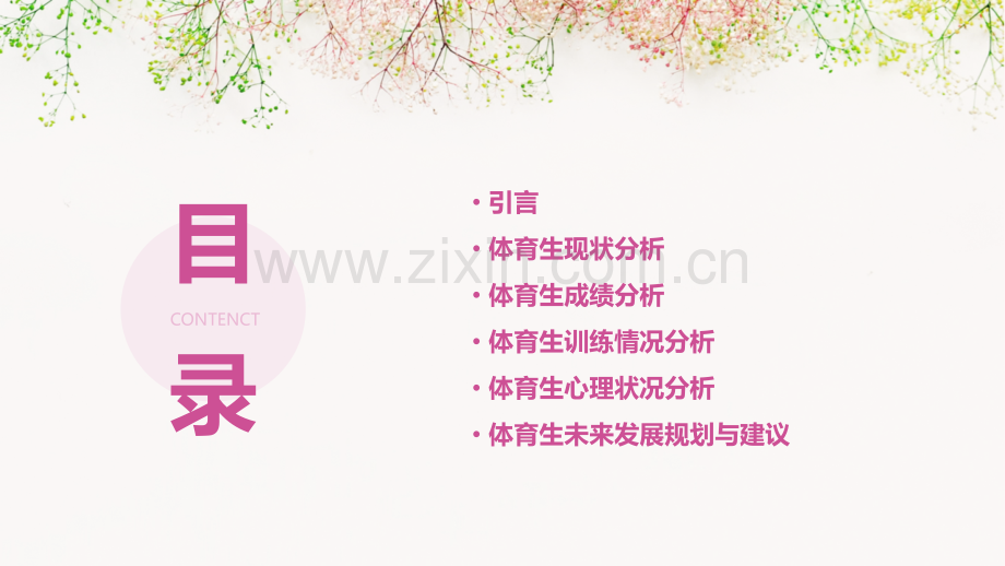 体育生分析报告.pptx_第2页