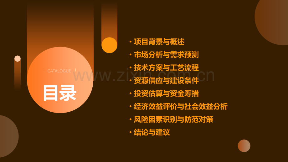 巩义可行性报告.pptx_第2页