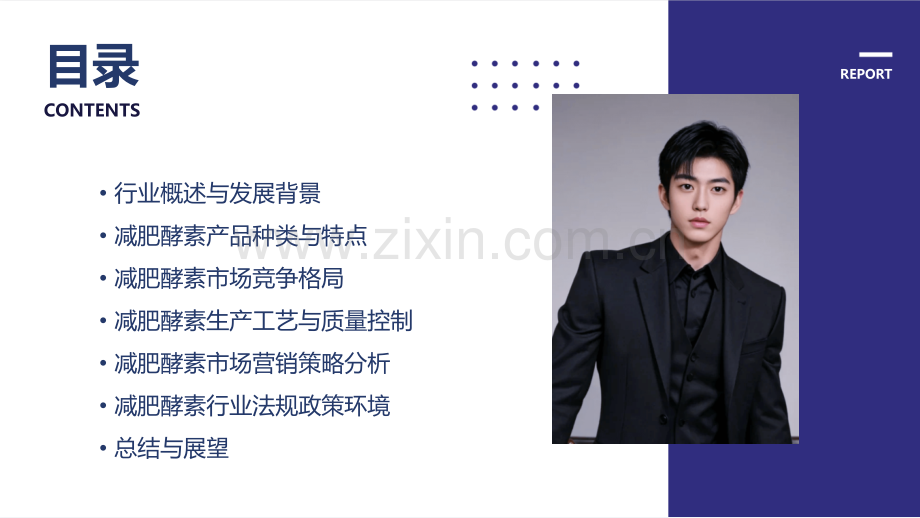 减肥酵素行业分析报告.pptx_第2页
