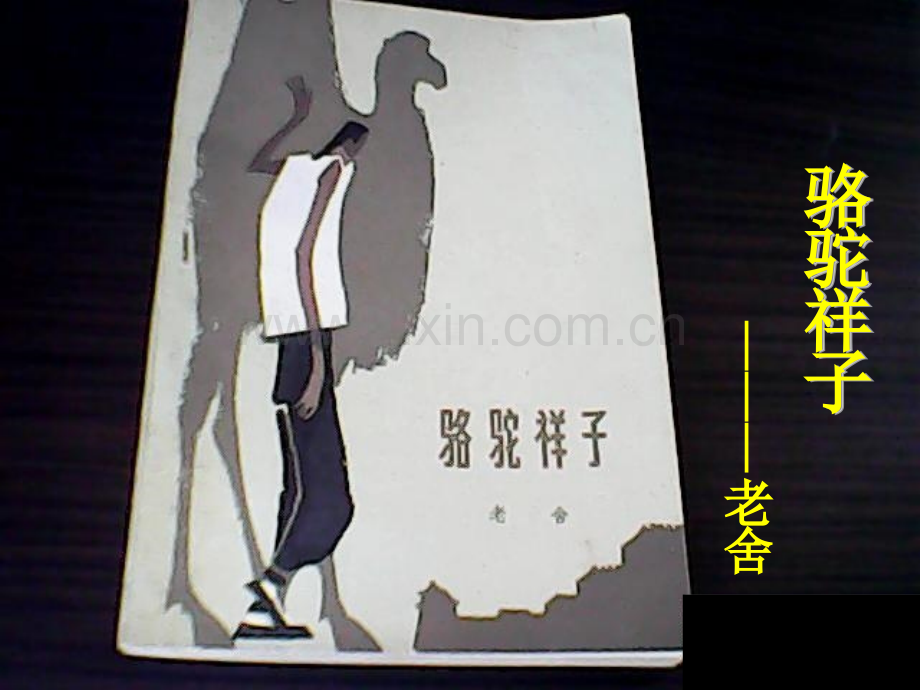 名著导读《骆驼祥子》.ppt讲课稿.ppt_第1页
