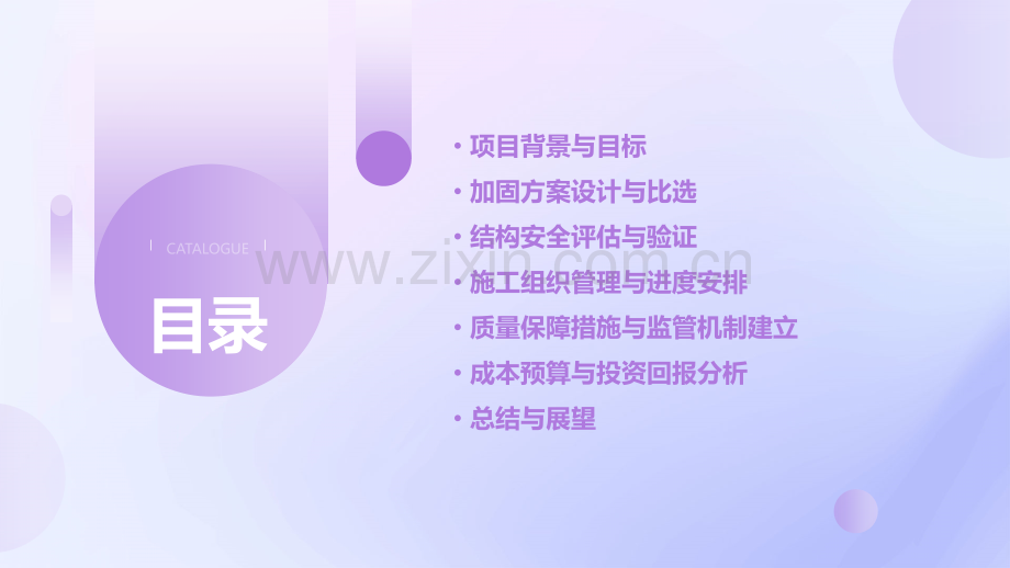 加固可行性方案汇报.pptx_第2页