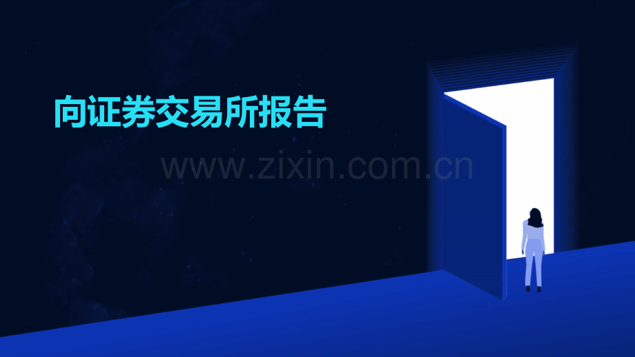 向证券交易所报告.pptx_第1页