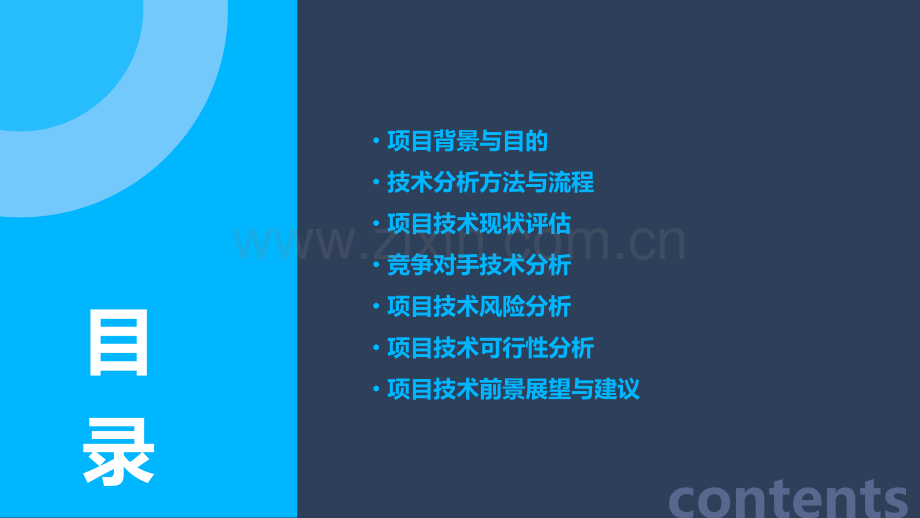 项目技术分析报告.pptx_第2页