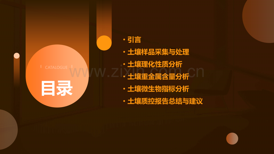 土壤质控报告分析.pptx_第2页