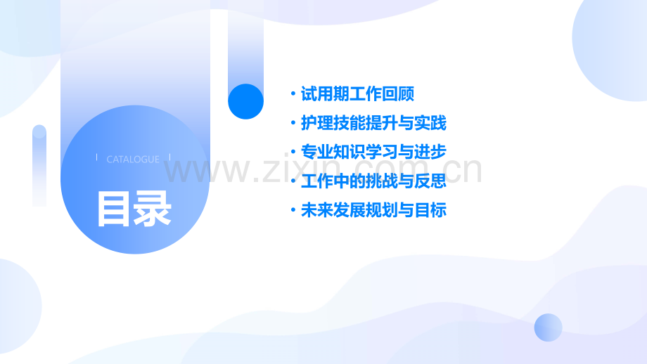 护理试用期工作总结.pptx_第2页