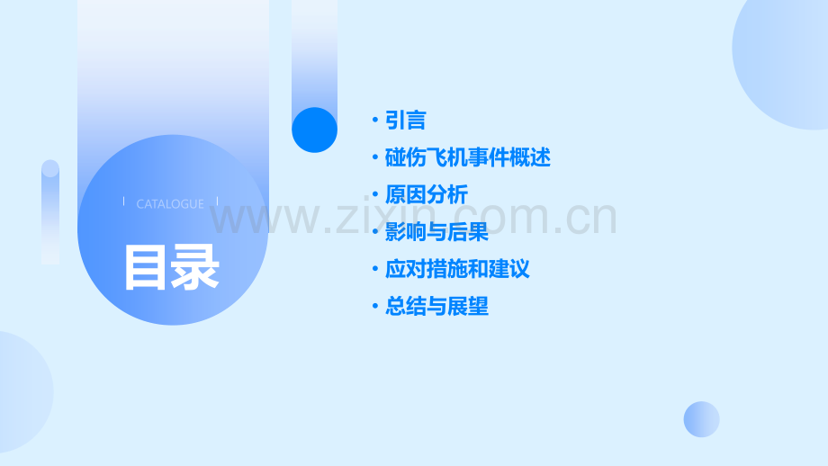 碰伤飞机原因分析报告.pptx_第2页