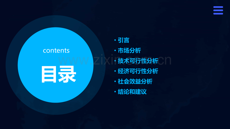 新产品可行性分析报告.pptx_第2页