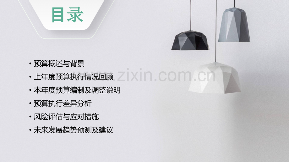 预算的分析报告的模板.pptx_第2页