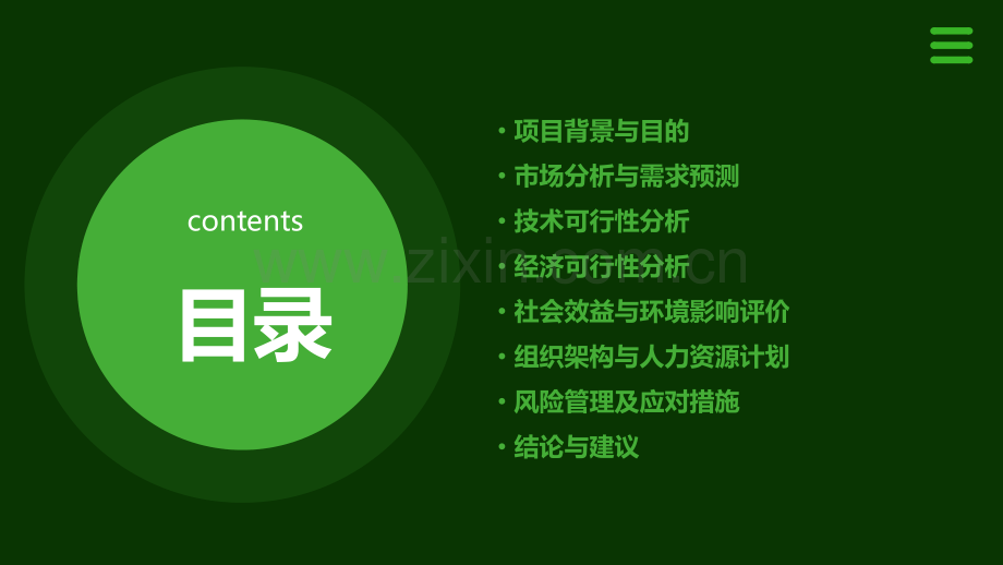 立项可行性分析报告.pptx_第2页