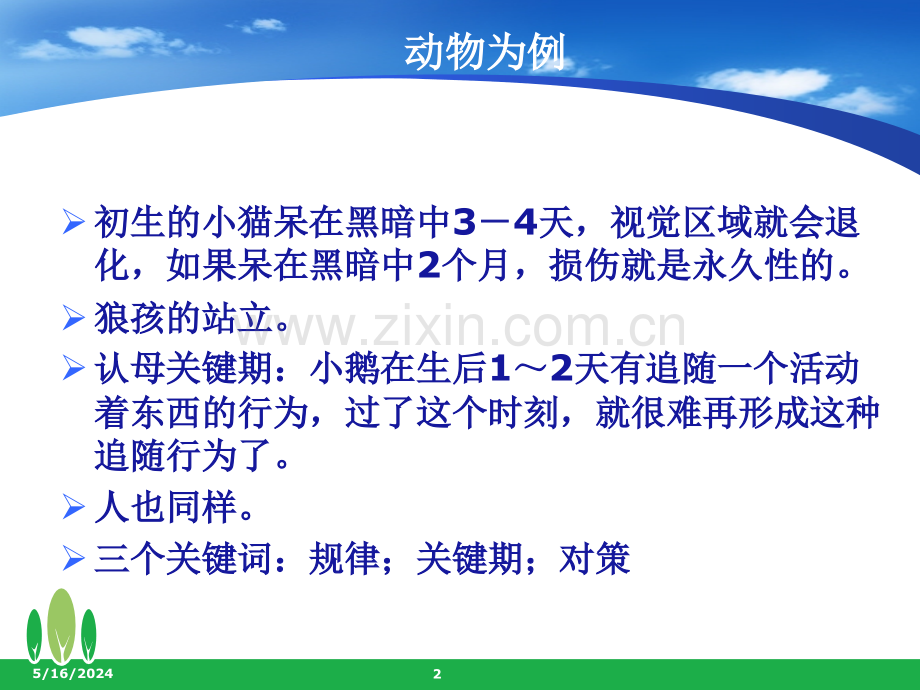 婴幼儿神经心理发育规律与对策.ppt_第2页