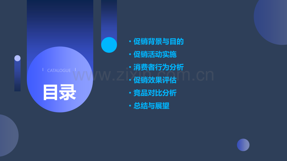 洗衣液促销分析报告模板.pptx_第2页