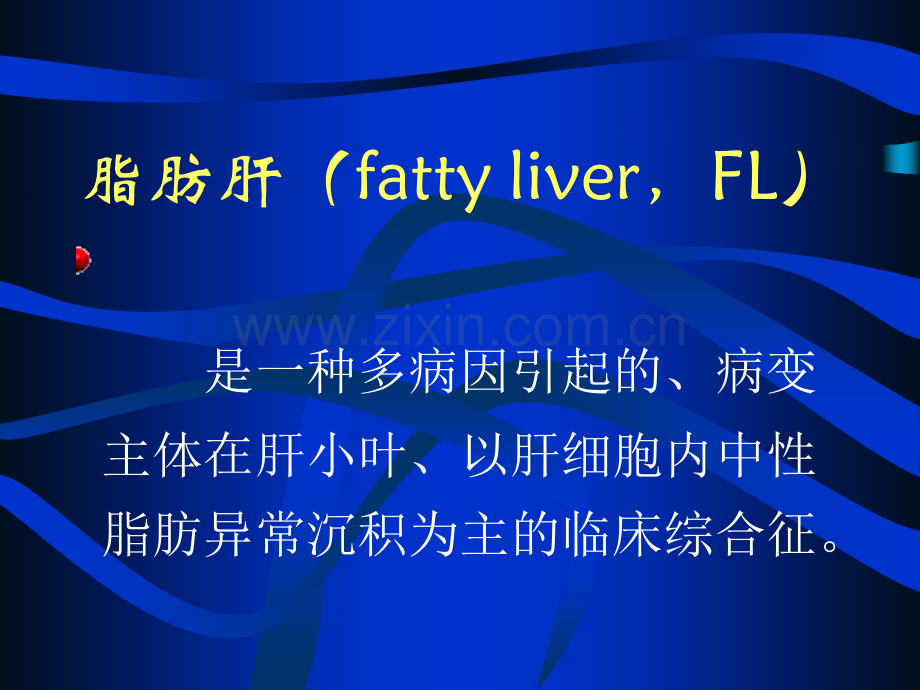 脂肪肝临床研究的几个环节.ppt_第2页