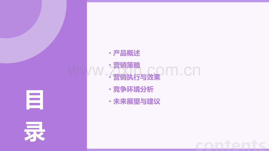 产品营销报告.pptx_第2页