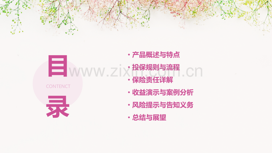 恒大岁岁红两全险计划书.pptx_第2页