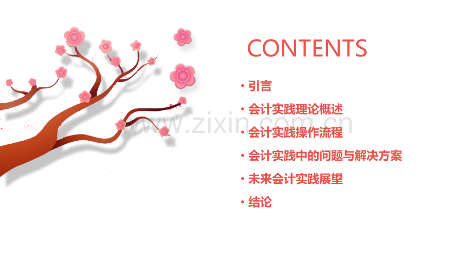会计实践总结报告.pptx_第2页
